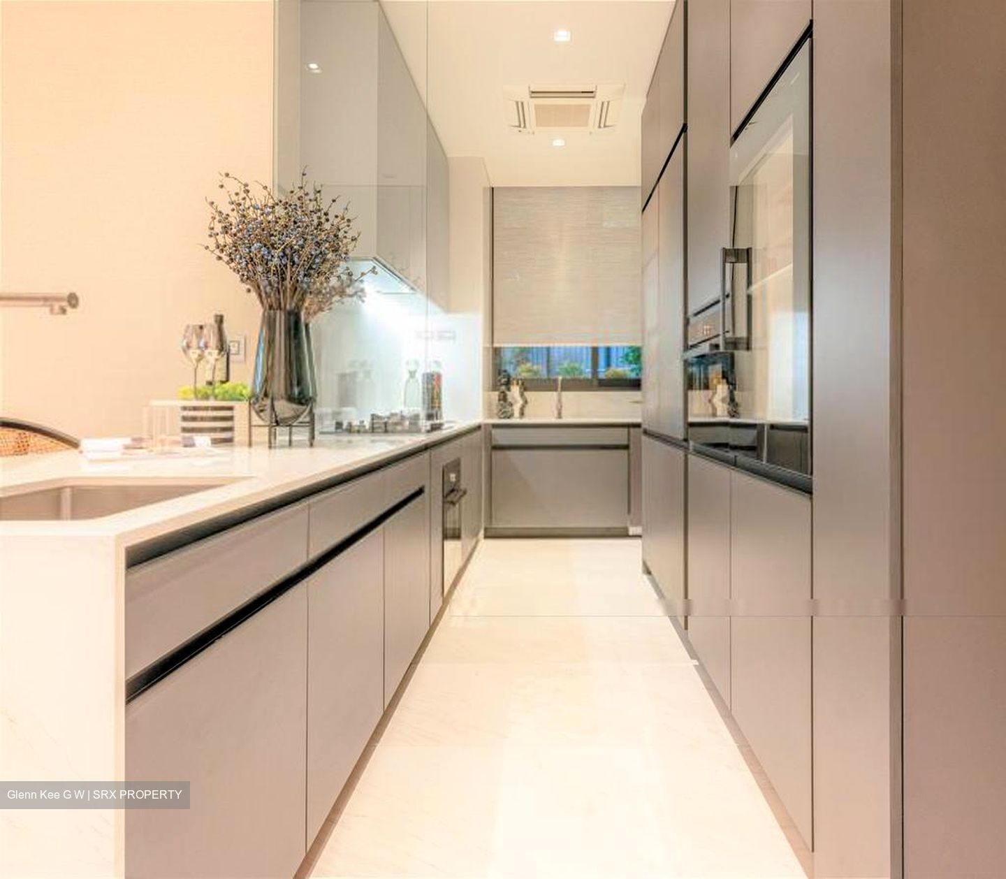 Cairnhill 16 (D9), Apartment #377316231